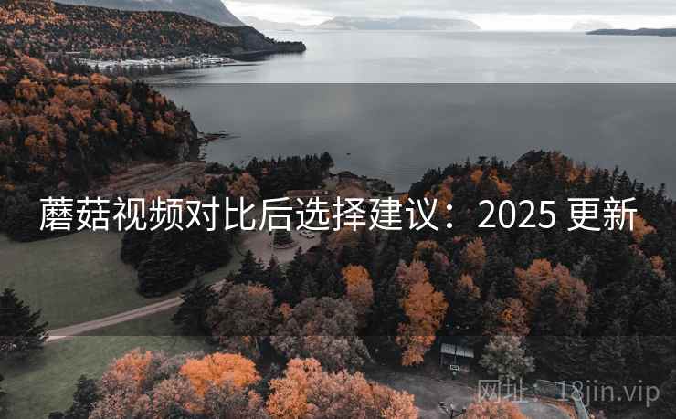 蘑菇视频对比后选择建议：2025 更新
