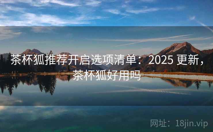 茶杯狐推荐开启选项清单：2025 更新，茶杯狐好用吗