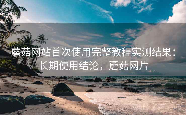 蘑菇网站首次使用完整教程实测结果：长期使用结论，蘑菇网片